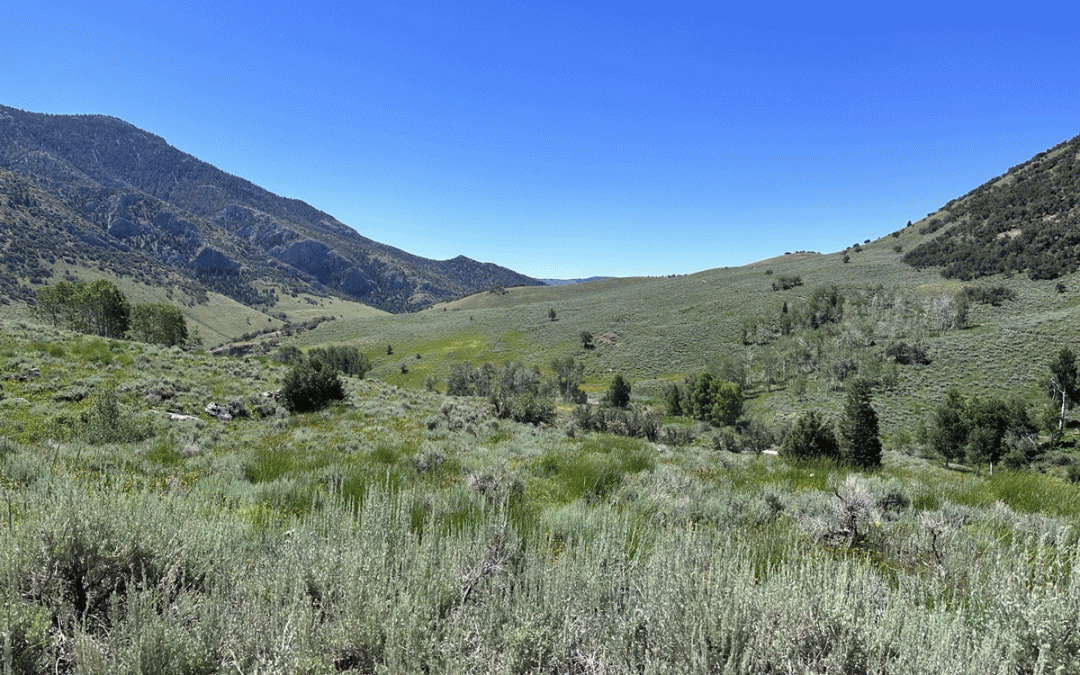 Success Loop in White Pine County Nevada