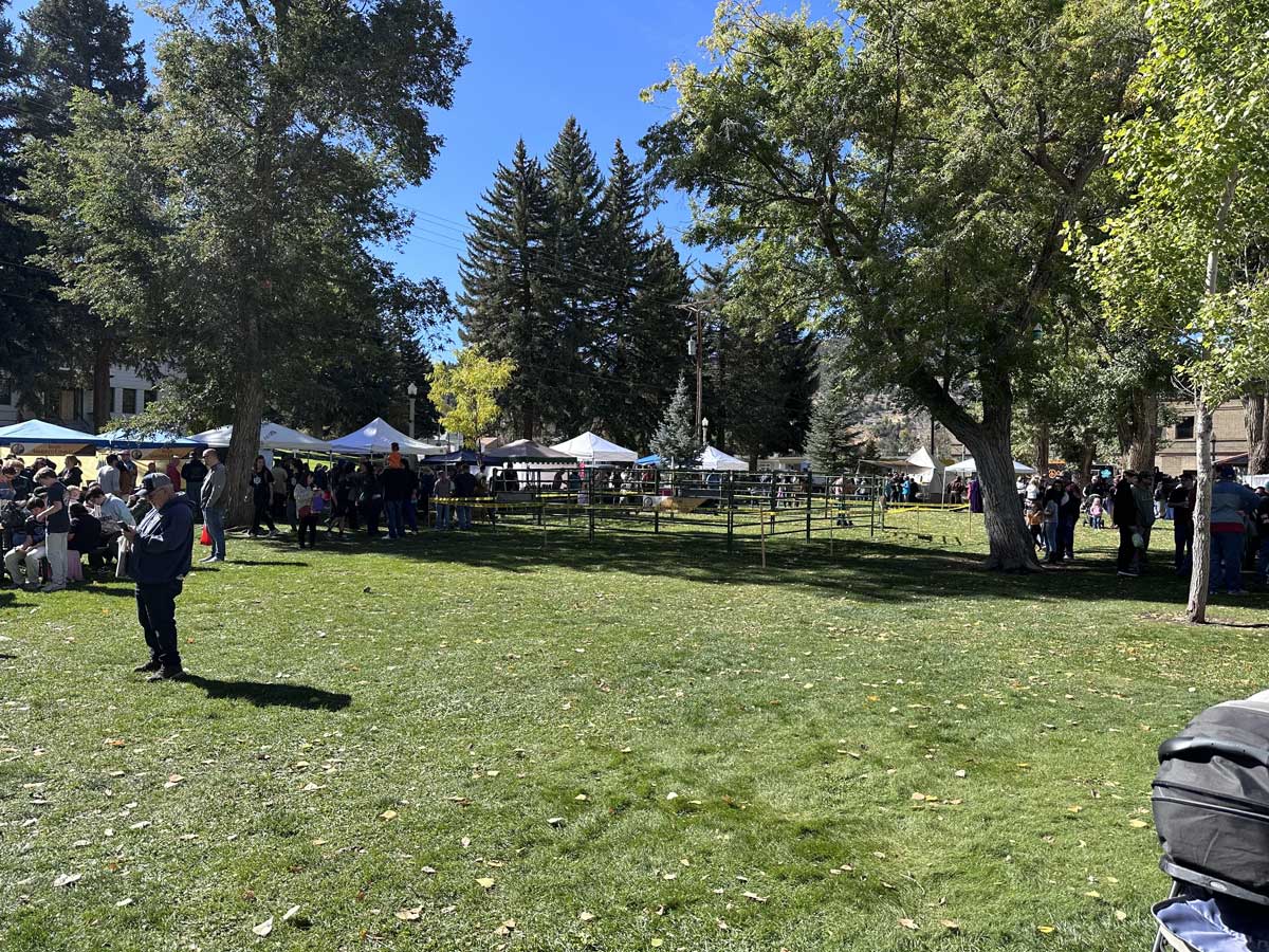 Fall Punkin Chunkin in Ely Nevada