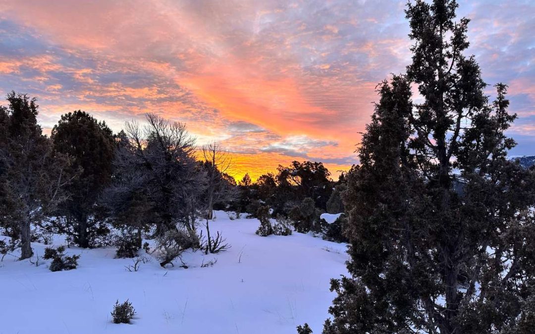 Cross Country Skiing Ely Nevada