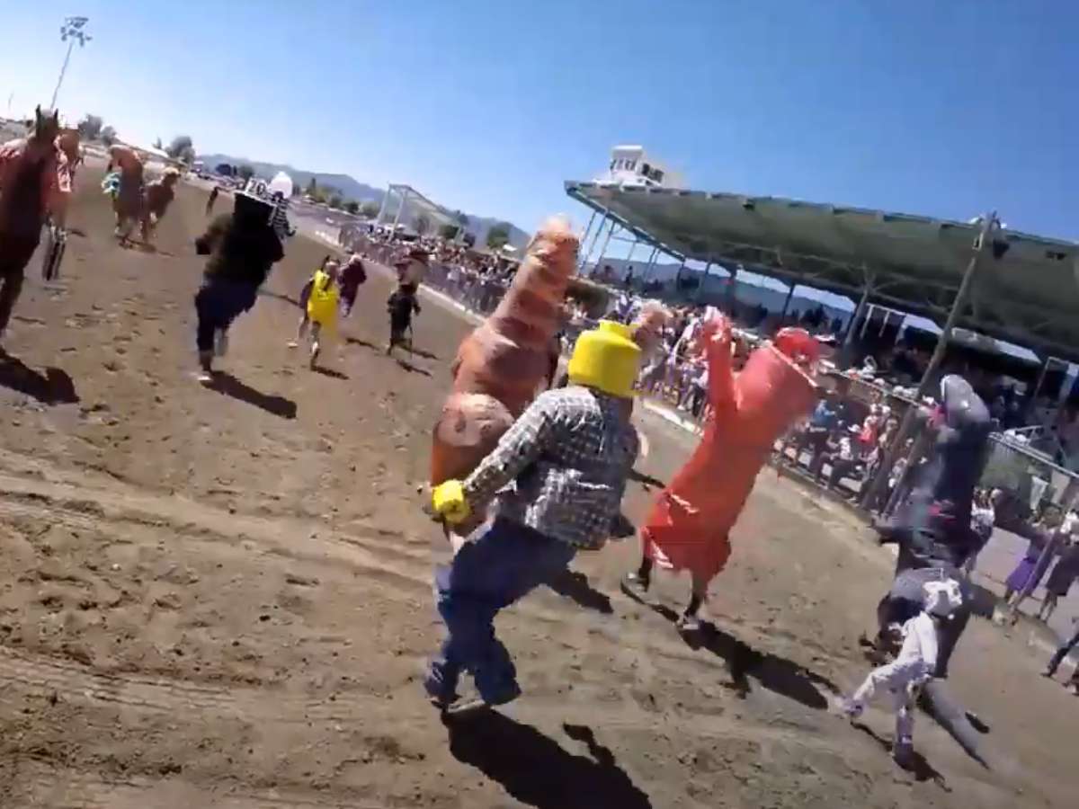 Trex Mascot Race White Pine County Horse Races